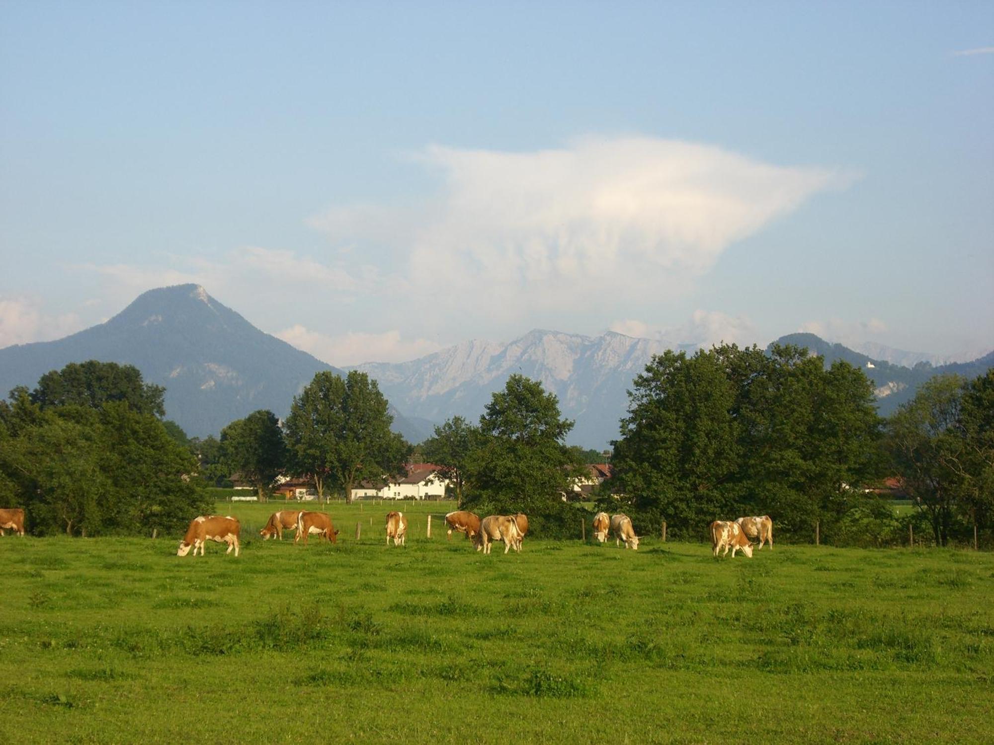 Gasthaus Kellerer Raubling Zewnętrze zdjęcie